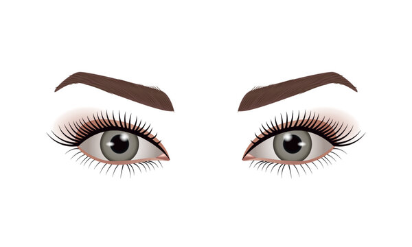 Eyelash extension types, realistic eyes and eyelashes, high detail , vector illustration