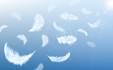 Fototapeta na wymiar falling feathers realistic on blue gradation background
