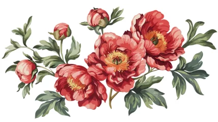 Poster Peony flowers on white background. Graphic hand drawn © Blue