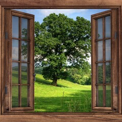 window with green grass and flowers