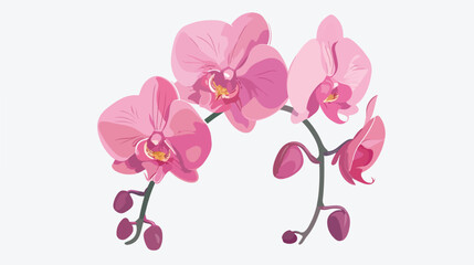 Pink orchid flat vector isolated on white background