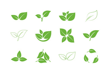 Leaf vector icons. Set of Green Leaves. Eco symbols