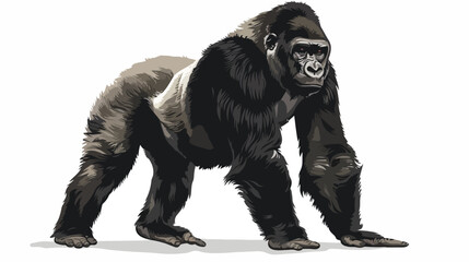 Rendering of a black gorilla ape isolated on white background