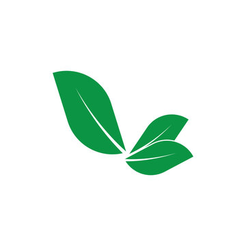 leaf's logo icon vector illustration template design