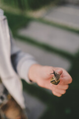 a boy holding a snail
