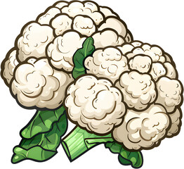 Superfood cauliflower, cauliflower, vegetables