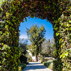 An arched entrance with rich foliage of a classical villa in the suburbs of Athens. Travel in Greece. - 773993030