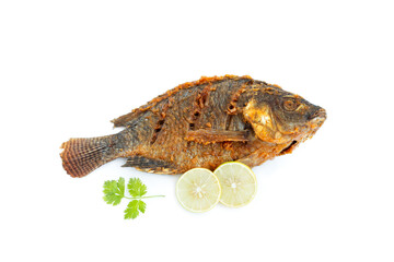 Fried nile tilapia fish with lemon sliced and coriander leaves  isolated on white background, Nile tilapia fish