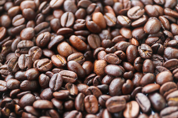 Arabica coffee beans are in the coffee machine