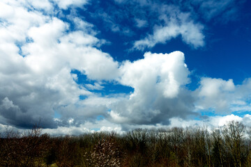 Landscape with big heavy fluffy clouds on a blue background