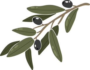 Olive branch, easter element, boho vector