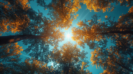 Enchanting Spring Scene: Sunlight filters through lush woods, painting serene landscape. - obrazy, fototapety, plakaty