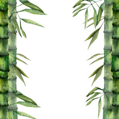 Bamboo frame, watercolor hand drawn tree sticks banner. Asian forest border with green leaves for spa, relax product design, packing ,logo. Hand drawn floral element