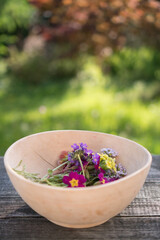Frisch gepflückte Wiesenblumen Gänseblümchen und Rotklee aus dem eigenen Garten in einer Holzschale am Holztisch im Frühling
