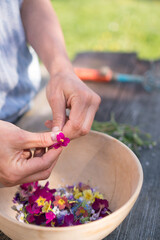 Junge Frau mit firsch gepfl&uuml;ckten Wiesenblumen Primeln und Wiesenschaumkraut aus dem eigenen Garten in einer Holzschale am Holztisch im Fr&uuml;hling
