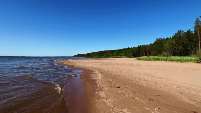 The Kama River is part of the Volga-Kama cascade of hydroelectric power plants, the largest left tributary of the Volga. Sandy riverbank with reeds, dried grass and pine forest