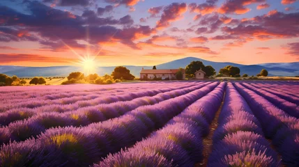 Foto op Canvas lavender field © Derby