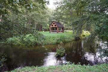 Fototapeta na wymiar old house in the forest