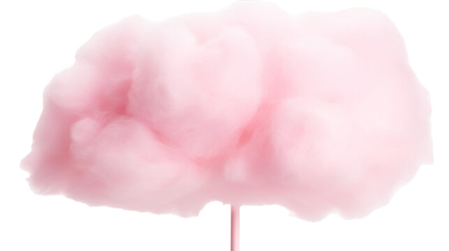 A pink cotton candy swirl on a stick against a white backdrop