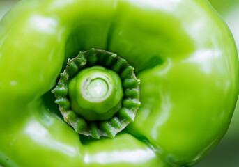 Close up green bell pepper - 774023482