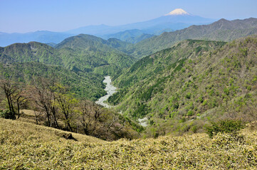 春の丹沢　丹沢主脈　丹沢山より新緑の山地と富士山を望む

