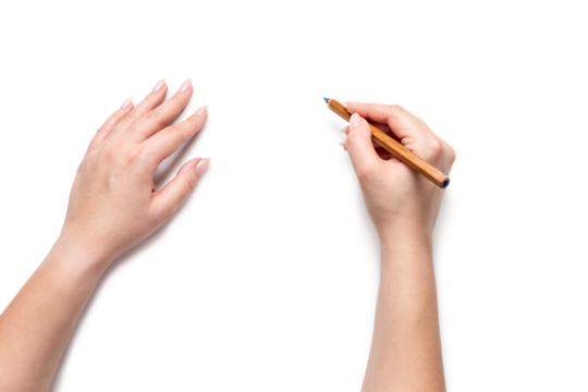 Female hands holding pencil, isolated on a transparent background png
