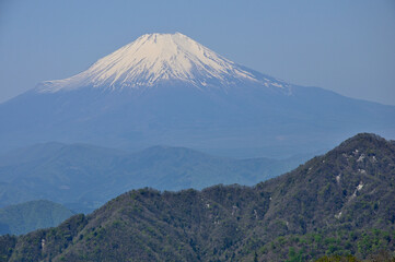 丹沢山地の丹沢山より　春の富士山
