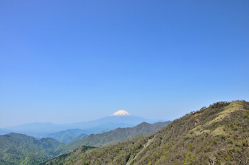 Fototapeta na wymiar 丹沢山地の丹沢山より新緑の山地と富士山と青空 