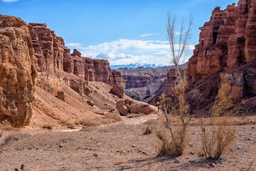 The huge Charyn Canyon in the desert of Kazakhstan. People go down a canyon in the desert among...