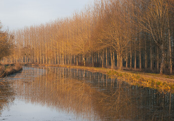 paysage de Bourgogne : le canal entre Champagne et Bourgogne anciennement canal de la Marne à la...
