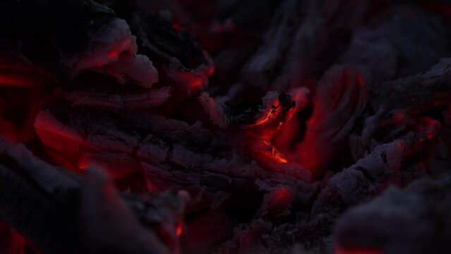 Smoldering embers of a dying fire. Close-up, shallow dof.