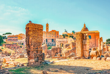 Roman Forum. Ancient, beautiful, incredible Rome, where every place is filled with history. - obrazy, fototapety, plakaty