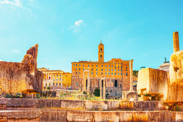 Roman Forum. Ancient, beautiful, incredible Rome. - obrazy, fototapety, plakaty