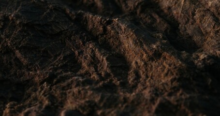 Macro View of a Rough Stone Surface Texture.