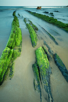 Vibrant green moss clings to the rocky ridges at Playa de Barrika, Bilbao, leading into the tranquil blur of the sea at sunset