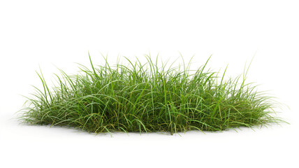 Lush green grass patch isolated on a white background.