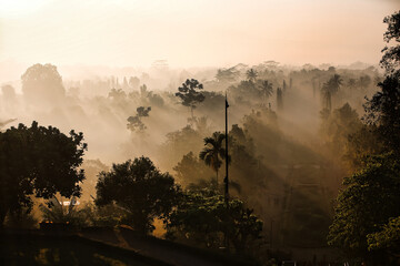 One foggy morning over the hill of Borobudur, Indonesia