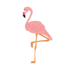 pink flamingo in flat style on white background 