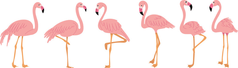 set of flamingos in flat style on white background vector