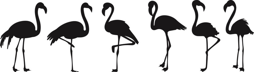 set of flamingos silhouette on white background vector