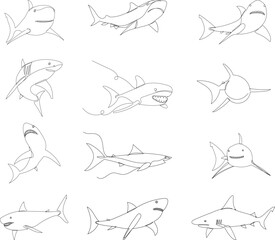 set of shark sketch on white background vector