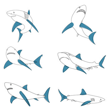 set of shark swimming sketch on white background vector