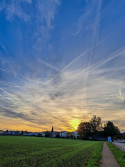 sunset over the field