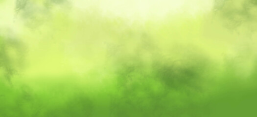 Natural background, gradient color, soft green tone. - obrazy, fototapety, plakaty