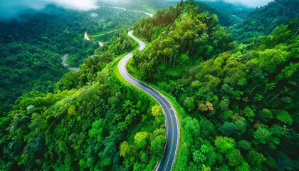  Aerial top view beautiful curve road on green forest - 774064848