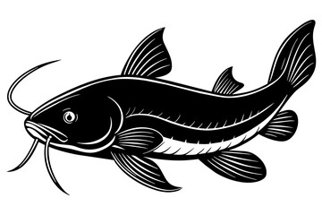 illustration of a fish & realistic-catfish-vector---vector-illustration
