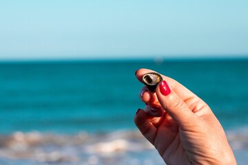 Woman's hand holding a sea shell against a blurred view of a sea between her red nails