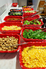 Colorful Salad Buffet Spread Displaying an Array of Fresh Ingredients During Brunch