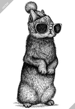 Vintage engraving isolated rabbit glasses dressed fashion set illustration hare ink sketch. Easter bunny background jackrabbit silhouette sunglasses hipster hat art. Hand draw vector image