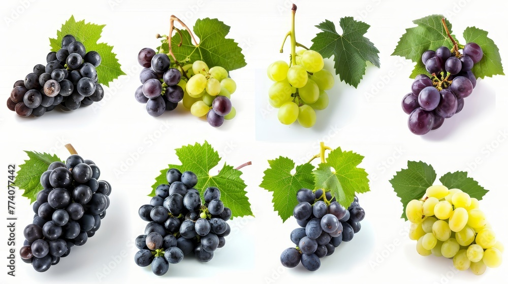 Poster an array of different ripe grapes is set against a white background
